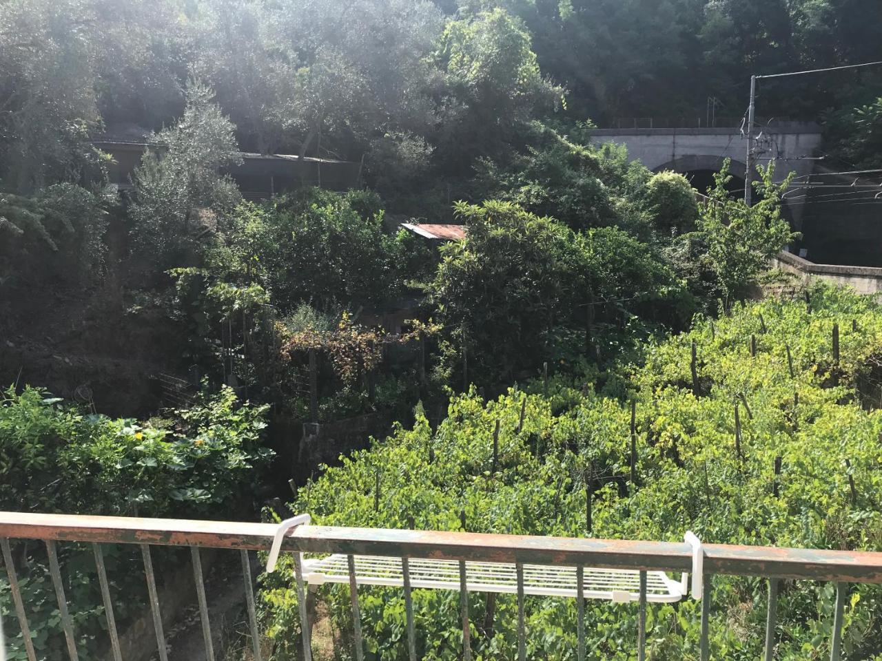 Willa Emilio House Levanto Zewnętrze zdjęcie